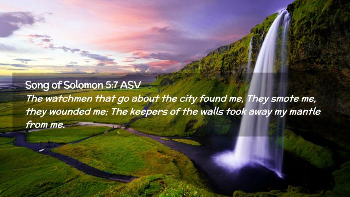 Picture 02 - Song of Solomon 5:7 ASV Desktop Wallpaper - The watchmen that go about the city found me, - Desktop Bible Verse Wallpaper