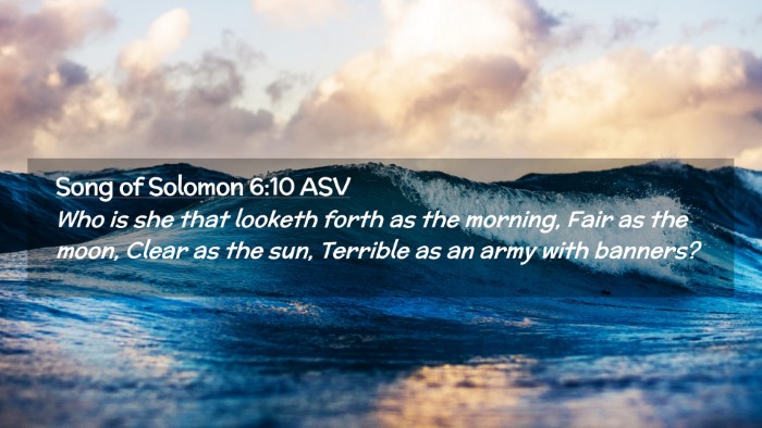 Picture 02 - Song of Solomon 6:10 ASV Desktop Wallpaper - Who is she that looketh forth as the morning, - Desktop Bible Verse Wallpaper