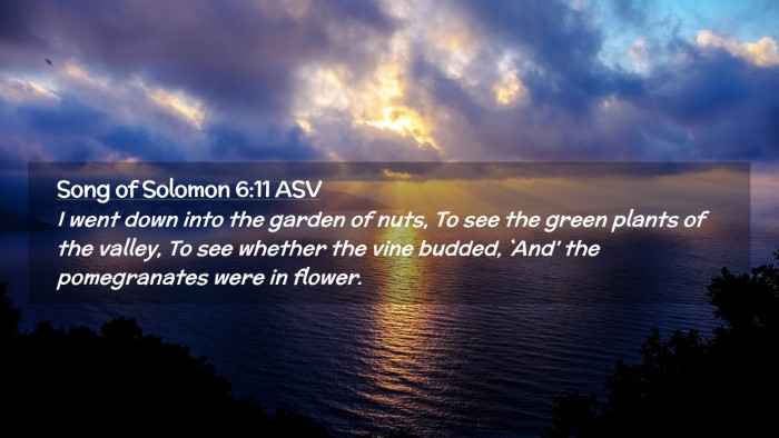 Picture 02 - Song of Solomon 6:11 ASV Desktop Wallpaper - I went down into the garden of nuts, To see the - Desktop Bible Verse Wallpaper