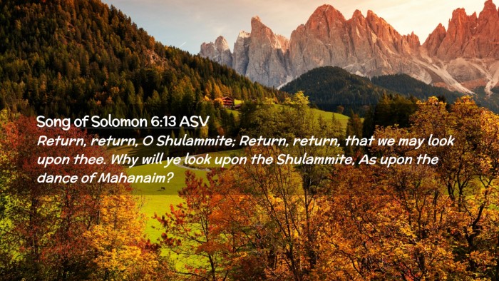Picture 02 - Song of Solomon 6:13 ASV Desktop Wallpaper - Return, return, O Shulammite; Return, return, - Desktop Bible Verse Wallpaper