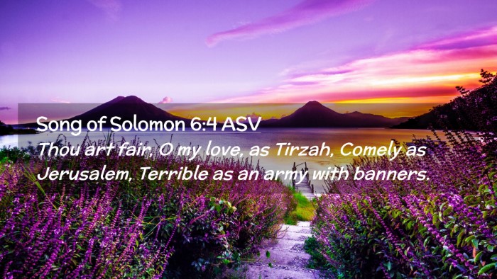 Picture 02 - Song of Solomon 6:4 ASV Desktop Wallpaper - Thou art fair, O my love, as Tirzah, Comely as - Desktop Bible Verse Wallpaper