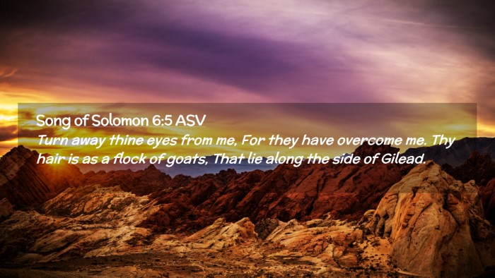 Picture 02 - Song of Solomon 6:5 ASV Desktop Wallpaper - Turn away thine eyes from me, For they have - Desktop Bible Verse Wallpaper