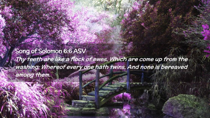 Picture 02 - Song of Solomon 6:6 ASV Desktop Wallpaper - Thy teeth are like a flock of ewes, Which are - Desktop Bible Verse Wallpaper