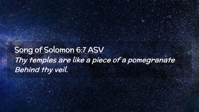 Picture 02 - Song of Solomon 6:7 ASV Desktop Wallpaper - Thy temples are like a piece of a pomegranate - Desktop Bible Verse Wallpaper