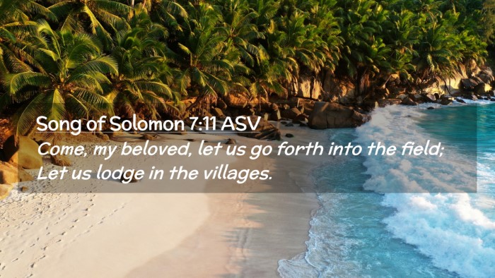 Picture 02 - Song of Solomon 7:11 ASV Desktop Wallpaper - Come, my beloved, let us go forth into the field; - Desktop Bible Verse Wallpaper