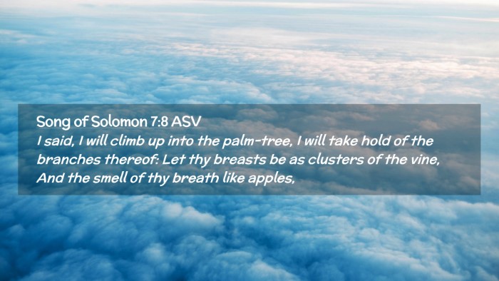 Picture 02 - Song of Solomon 7:8 ASV Desktop Wallpaper - I said, I will climb up into the palm-tree, I - Desktop Bible Verse Wallpaper