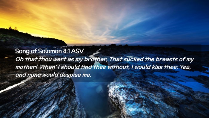Picture 02 - Song of Solomon 8:1 ASV Desktop Wallpaper - Oh that thou wert as my brother, That sucked the - Desktop Bible Verse Wallpaper