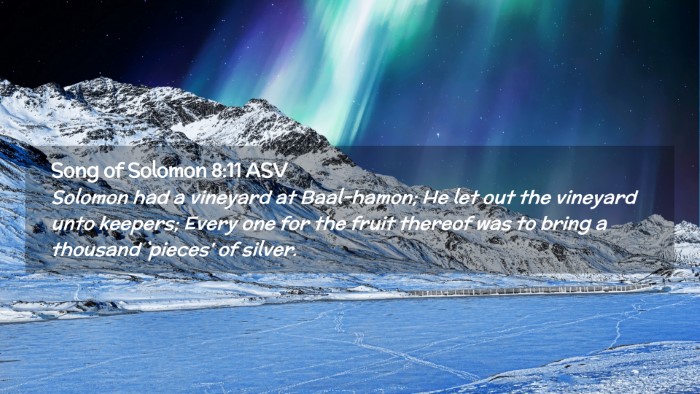 Picture 02 - Song of Solomon 8:11 ASV Desktop Wallpaper - Solomon had a vineyard at Baal-hamon; He let out - Desktop Bible Verse Wallpaper