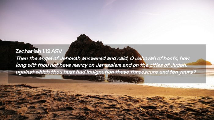 Picture 02 - Zechariah 1:12 ASV Desktop Wallpaper - Then the angel of Jehovah answered and said, O - Desktop Bible Verse Wallpaper
