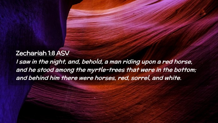 Picture 02 - Zechariah 1:8 ASV Desktop Wallpaper - I saw in the night, and, behold, a man riding - Desktop Bible Verse Wallpaper