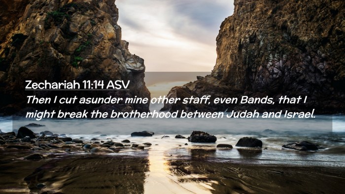 Picture 02 - Zechariah 11:14 ASV Desktop Wallpaper - Then I cut asunder mine other staff, even Bands, - Desktop Bible Verse Wallpaper