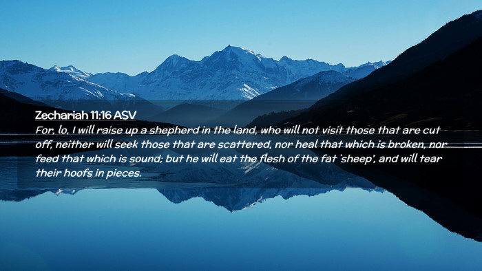 Picture 02 - Zechariah 11:16 ASV Desktop Wallpaper - For, lo, I will raise up a shepherd in the land, - Desktop Bible Verse Wallpaper