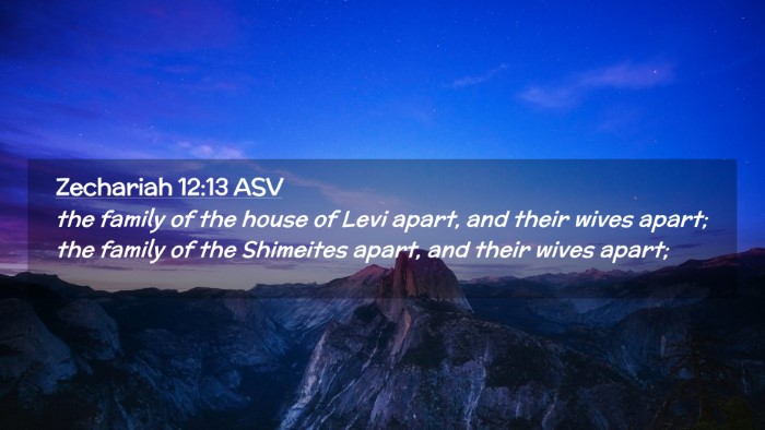 Picture 02 - Zechariah 12:13 ASV Desktop Wallpaper - the family of the house of Levi apart, and their - Desktop Bible Verse Wallpaper
