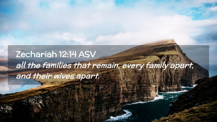 Picture 02 - Zechariah 12:14 ASV Desktop Wallpaper - all the families that remain, every family apart, - Desktop Bible Verse Wallpaper