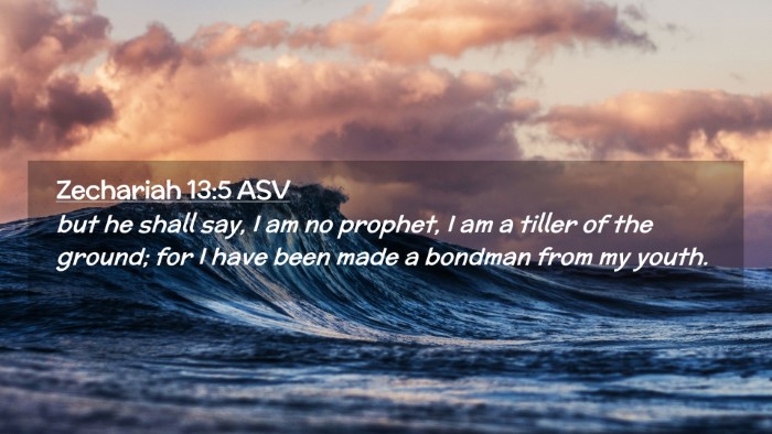 Picture 02 - Zechariah 13:5 ASV Desktop Wallpaper - but he shall say, I am no prophet, I am a tiller - Desktop Bible Verse Wallpaper