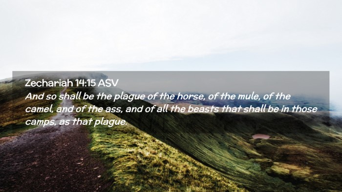 Picture 02 - Zechariah 14:15 ASV Desktop Wallpaper - And so shall be the plague of the horse, of the - Desktop Bible Verse Wallpaper
