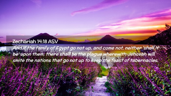 Picture 02 - Zechariah 14:18 ASV Desktop Wallpaper - And if the family of Egypt go not up, and come - Desktop Bible Verse Wallpaper