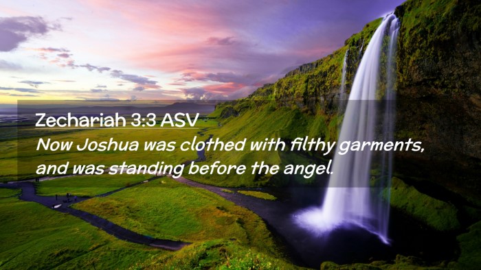 Picture 02 - Zechariah 3:3 ASV Desktop Wallpaper - Now Joshua was clothed with filthy garments, and - Desktop Bible Verse Wallpaper