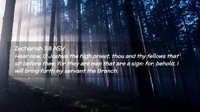 Picture 02 - Zechariah 3:8 ASV Desktop Wallpaper - Hear now, O Joshua the high priest, thou and thy - Desktop Bible Verse Wallpaper