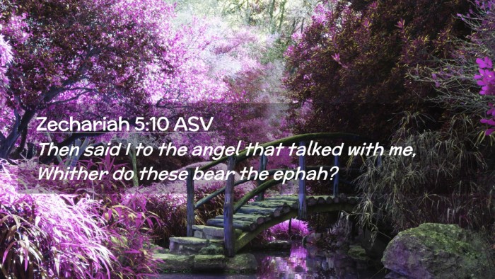 Picture 02 - Zechariah 5:10 ASV Desktop Wallpaper - Then said I to the angel that talked with me, - Desktop Bible Verse Wallpaper