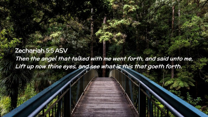 Picture 02 - Zechariah 5:5 ASV Desktop Wallpaper - Then the angel that talked with me went forth, - Desktop Bible Verse Wallpaper