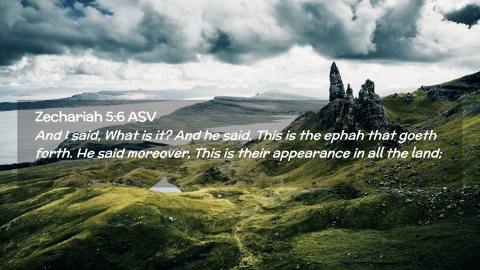 Picture 02 - Zechariah 5:6 ASV Desktop Wallpaper - And I said, What is it? And he said, This is the - Desktop Bible Verse Wallpaper