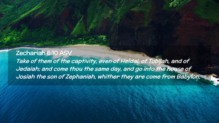 Picture 02 - Zechariah 6:10 ASV Desktop Wallpaper - Take of them of the captivity, even of Heldai, of - Desktop Bible Verse Wallpaper