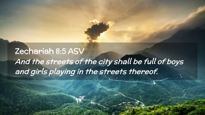 Picture 02 - Zechariah 8:5 ASV Desktop Wallpaper - And the streets of the city shall be full of boys - Desktop Bible Verse Wallpaper