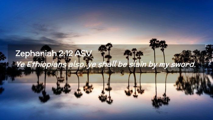 Picture 02 - Zephaniah 2:12 ASV Desktop Wallpaper - Ye Ethiopians also, ye shall be slain by my - Desktop Bible Verse Wallpaper