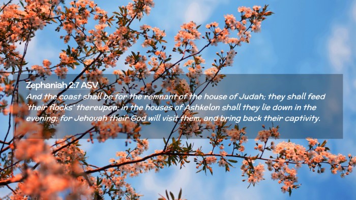 Picture 02 - Zephaniah 2:7 ASV Desktop Wallpaper - And the coast shall be for the remnant of the - Desktop Bible Verse Wallpaper