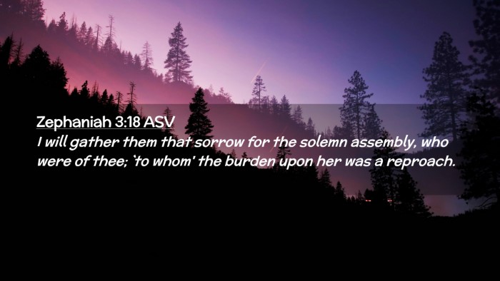 Picture 02 - Zephaniah 3:18 ASV Desktop Wallpaper - I will gather them that sorrow for the solemn - Desktop Bible Verse Wallpaper