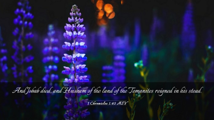 Picture 03 - 1 Chronicles 1:45 ASV Desktop Wallpaper - And Jobab died, and Husham of the land of the - Desktop Bible Verse Wallpaper