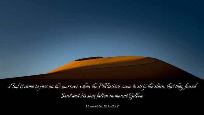 Picture 03 - 1 Chronicles 10:8 ASV Desktop Wallpaper - And it came to pass on the morrow, when the - Desktop Bible Verse Wallpaper