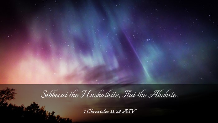 Picture 03 - 1 Chronicles 11:29 ASV Desktop Wallpaper - Sibbecai the Hushathite, Ilai the - Desktop Bible Verse Wallpaper