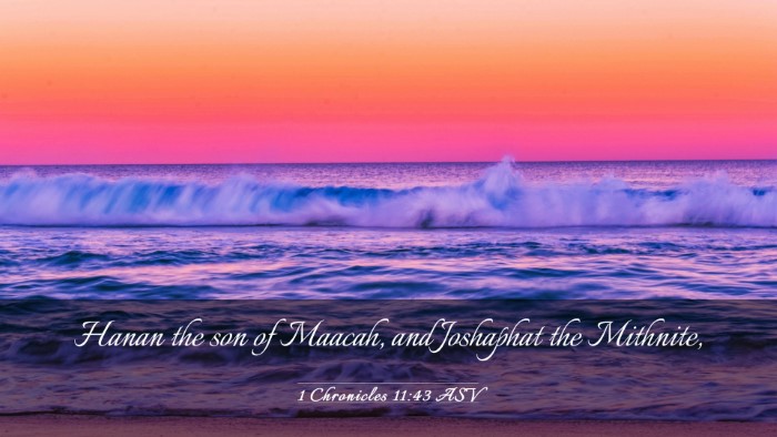 Picture 03 - 1 Chronicles 11:43 ASV Desktop Wallpaper - Hanan the son of Maacah, and Joshaphat the - Desktop Bible Verse Wallpaper