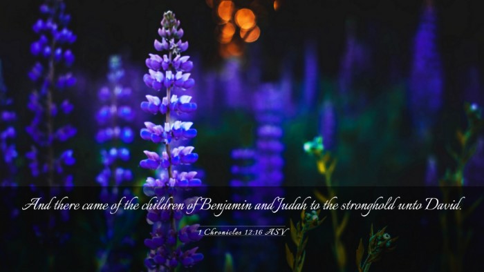 Picture 03 - 1 Chronicles 12:16 ASV Desktop Wallpaper - And there came of the children of Benjamin and - Desktop Bible Verse Wallpaper