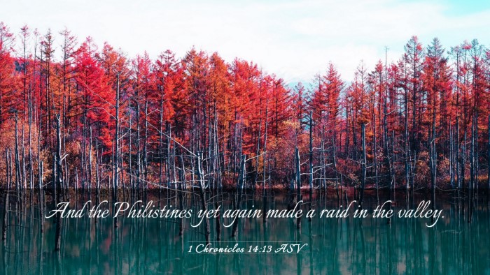 Picture 03 - 1 Chronicles 14:13 ASV Desktop Wallpaper - And the Philistines yet again made a raid in the - Desktop Bible Verse Wallpaper