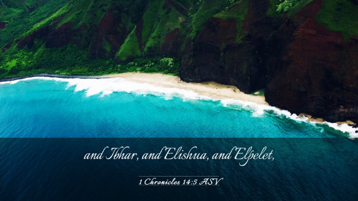Picture 03 - 1 Chronicles 14:5 ASV Desktop Wallpaper - and Ibhar, and Elishua, and - Desktop Bible Verse Wallpaper