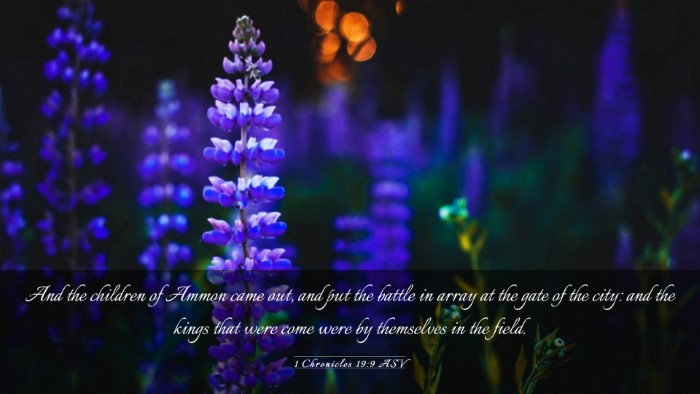 Picture 03 - 1 Chronicles 19:9 ASV Desktop Wallpaper - And the children of Ammon came out, and put the - Desktop Bible Verse Wallpaper