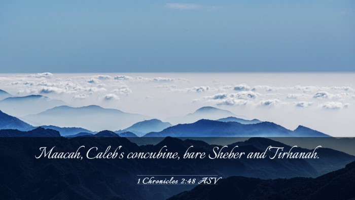 Picture 03 - 1 Chronicles 2:48 ASV Desktop Wallpaper - Maacah, Caleb's concubine, bare Sheber and - Desktop Bible Verse Wallpaper