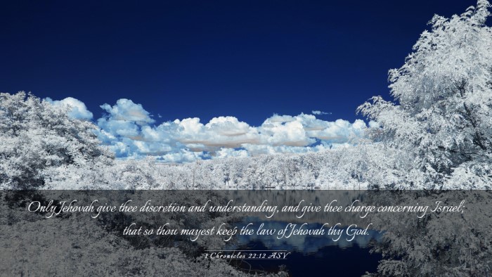 Picture 03 - 1 Chronicles 22:12 ASV Desktop Wallpaper - Only Jehovah give thee discretion and - Desktop Bible Verse Wallpaper
