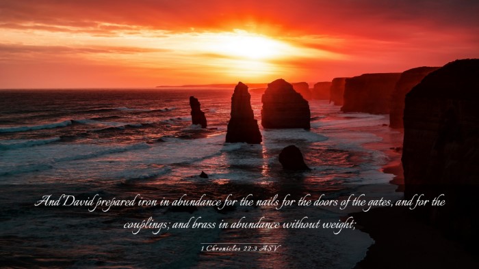 Picture 03 - 1 Chronicles 22:3 ASV Desktop Wallpaper - And David prepared iron in abundance for the - Desktop Bible Verse Wallpaper