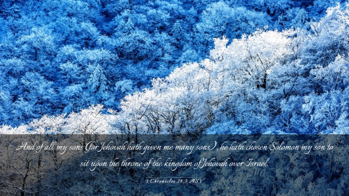 Picture 03 - 1 Chronicles 28:5 ASV Desktop Wallpaper - And of all my sons (for Jehovah hath given me - Desktop Bible Verse Wallpaper