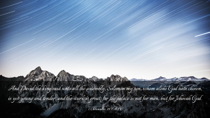 Picture 03 - 1 Chronicles 29:1 ASV Desktop Wallpaper - And David the king said unto all the assembly, - Desktop Bible Verse Wallpaper