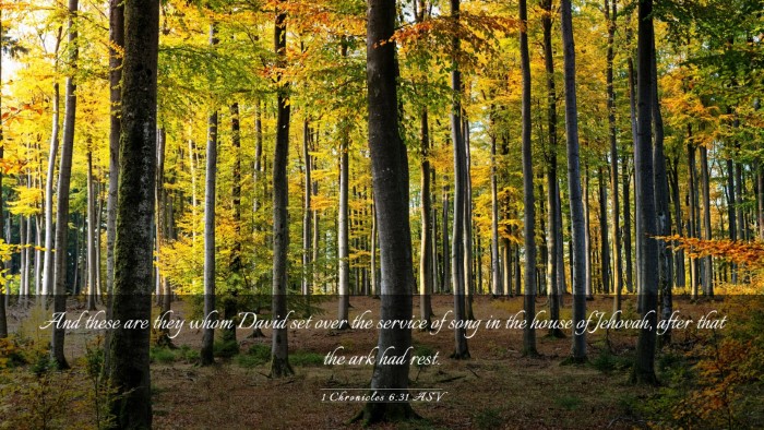 Picture 03 - 1 Chronicles 6:31 ASV Desktop Wallpaper - And these are they whom David set over the - Desktop Bible Verse Wallpaper