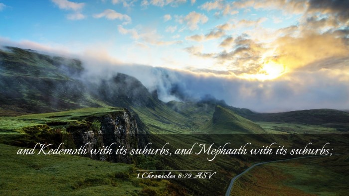 Picture 03 - 1 Chronicles 6:79 ASV Desktop Wallpaper - and Kedemoth with its suburbs, and Mephaath with - Desktop Bible Verse Wallpaper