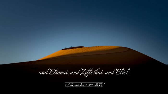 Picture 03 - 1 Chronicles 8:20 ASV Desktop Wallpaper - and Elienai, and Zillethai, and - Desktop Bible Verse Wallpaper