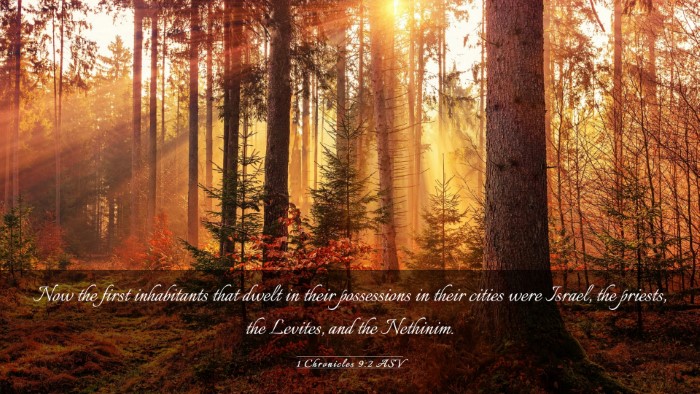 Picture 03 - 1 Chronicles 9:2 ASV Desktop Wallpaper - Now the first inhabitants that dwelt in their - Desktop Bible Verse Wallpaper