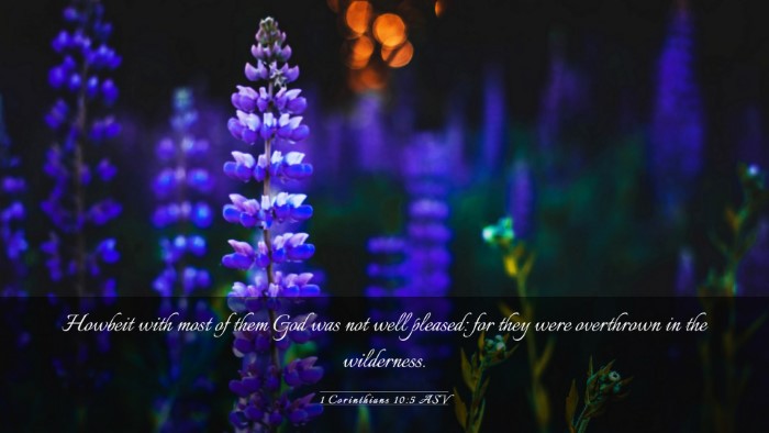 Picture 03 - 1 Corinthians 10:5 ASV Desktop Wallpaper - Howbeit with most of them God was not well - Desktop Bible Verse Wallpaper