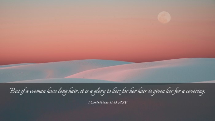 Picture 03 - 1 Corinthians 11:15 ASV Desktop Wallpaper - But if a woman have long hair, it is a glory to - Desktop Bible Verse Wallpaper